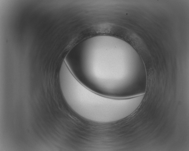 X0000083610172200702120733