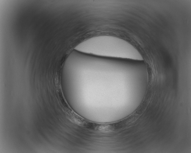 X0000083610173200702120733