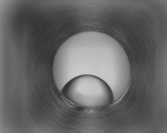 X0000083610174200702120733