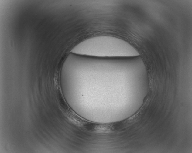 X0000083610175200702120733