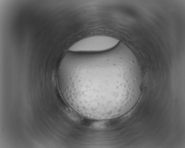 X0000083610178200702120733