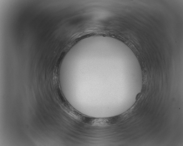 X0000083610179200702120733