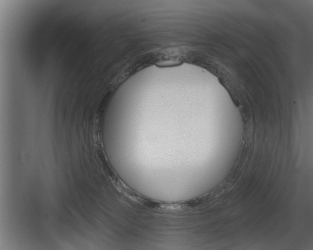 X0000083610181200702120733