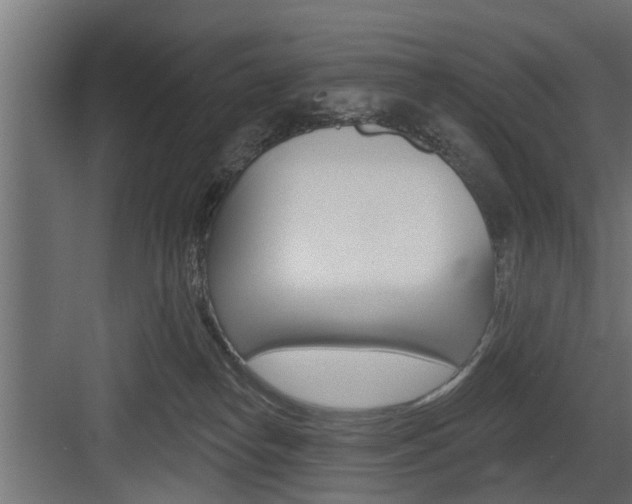 X0000083610182200702120733