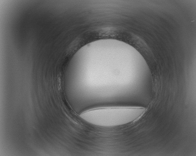 X0000083610183200702120733