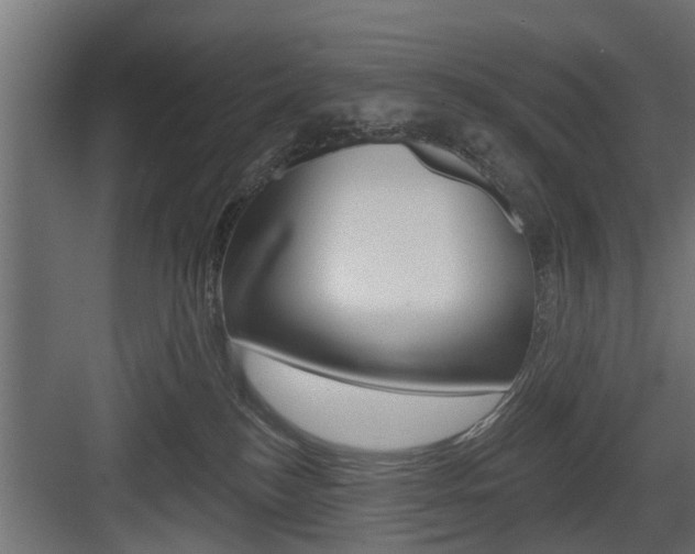 X0000083610184200702120733