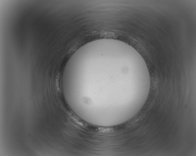 X0000083610185200702120733