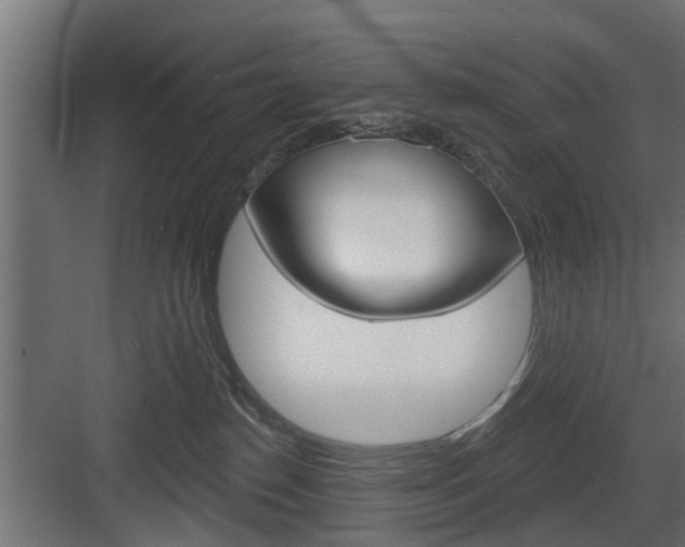 X0000083610186200702120733