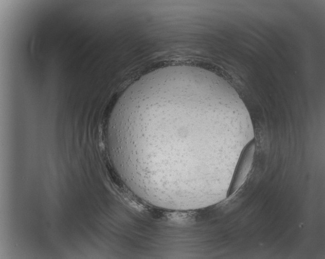 X0000083610187200702120733