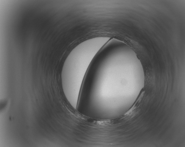 X0000083610188200702120733