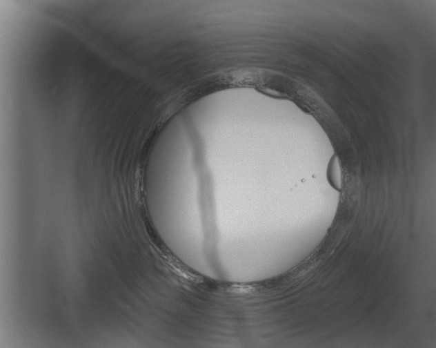 X0000083610189200702120733