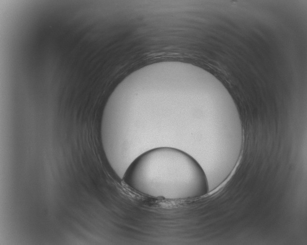 X0000083610190200702120733