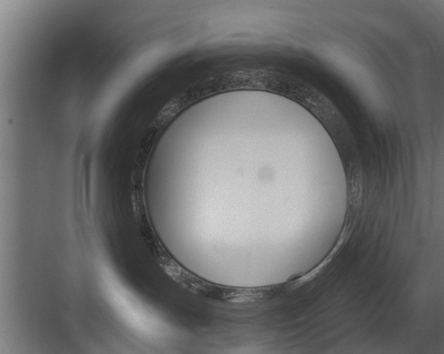 X0000083610191200702120733