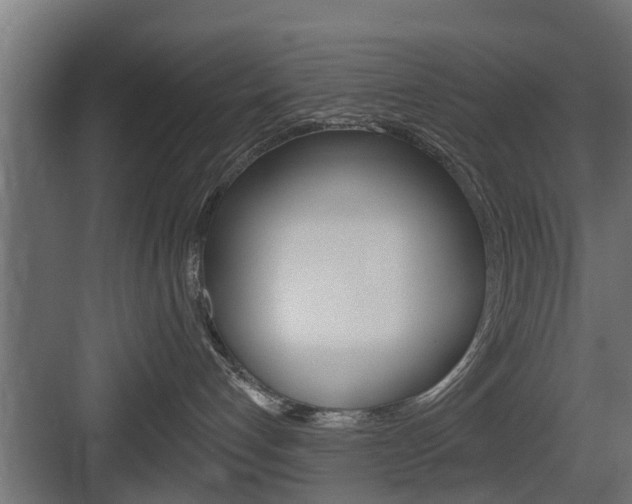 X0000083610192200702120733