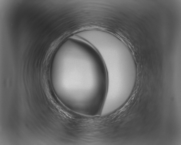 X0000083610193200702120732