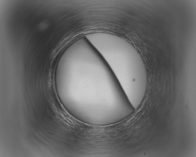 X0000083610194200702120732