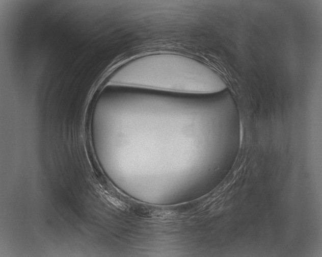 X0000083610195200702120732