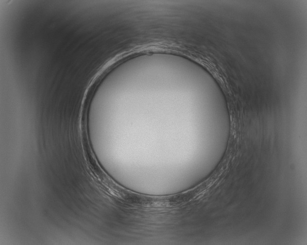 X0000083610196200702120732