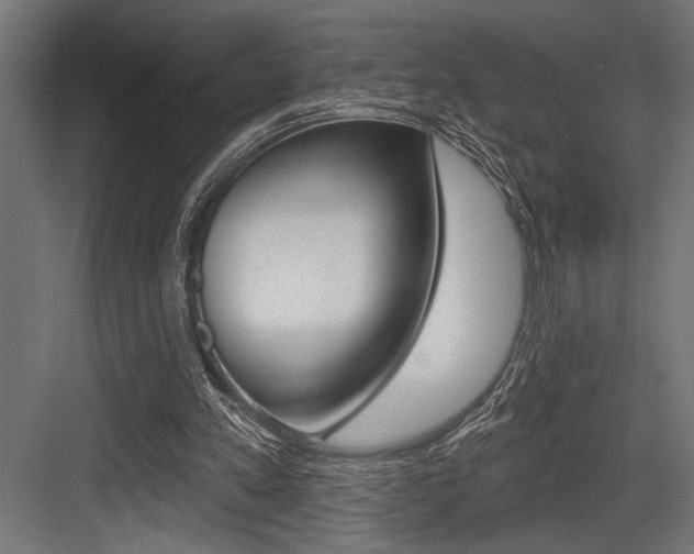 X0000083610197200702120732