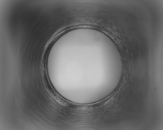 X0000083610198200702120732