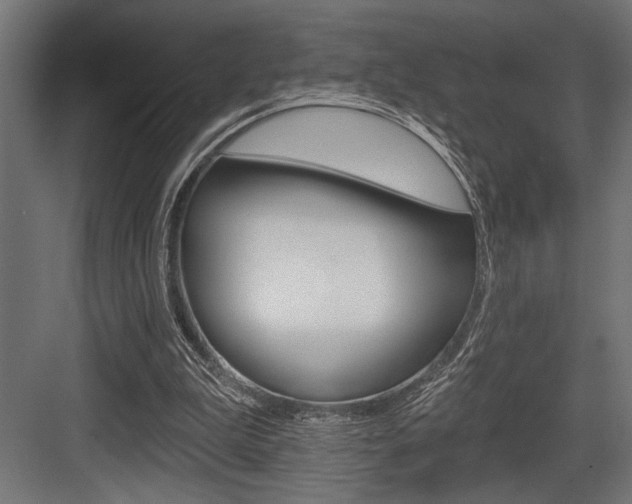 X0000083610199200702120732