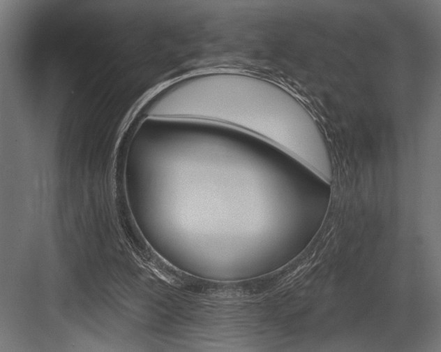 X0000083610200200702120732