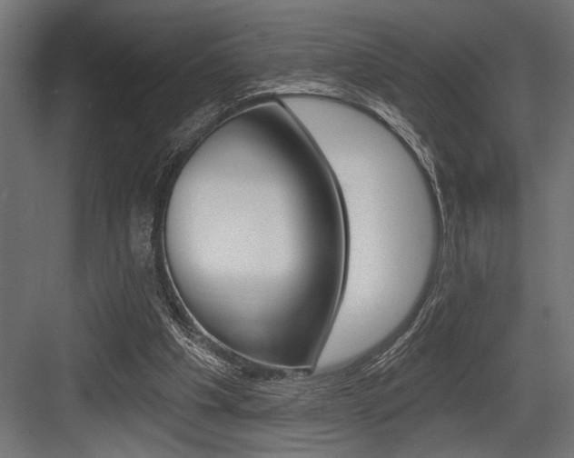 X0000083610201200702120732