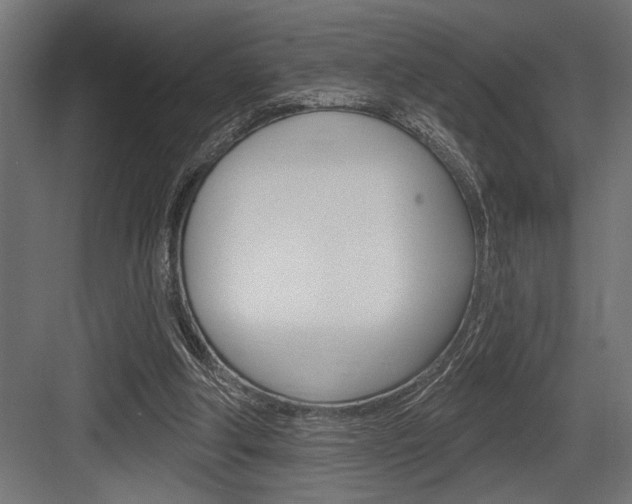 X0000083610202200702120732