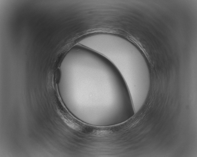 X0000083610205200702120732