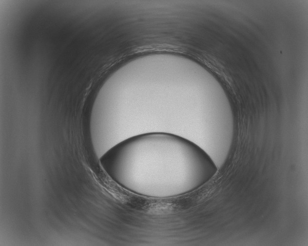 X0000083610206200702120732