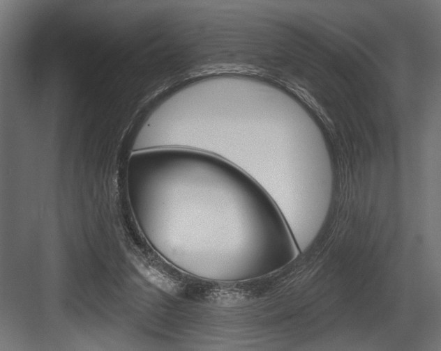 X0000083610207200702120732