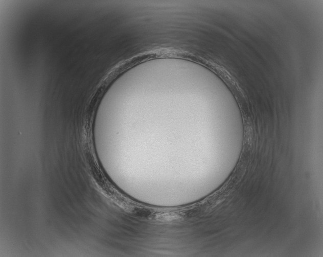 X0000083610208200702120732