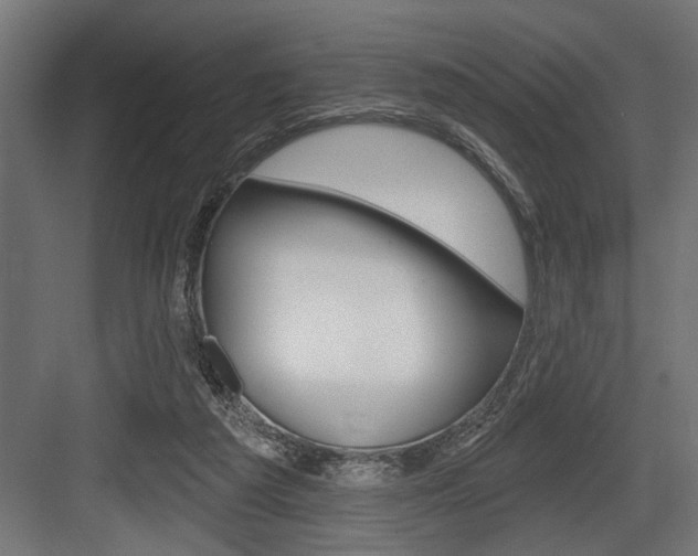 X0000083610209200702120732