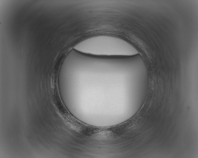 X0000083610210200702120732