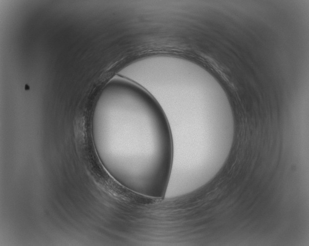 X0000083610211200702120732