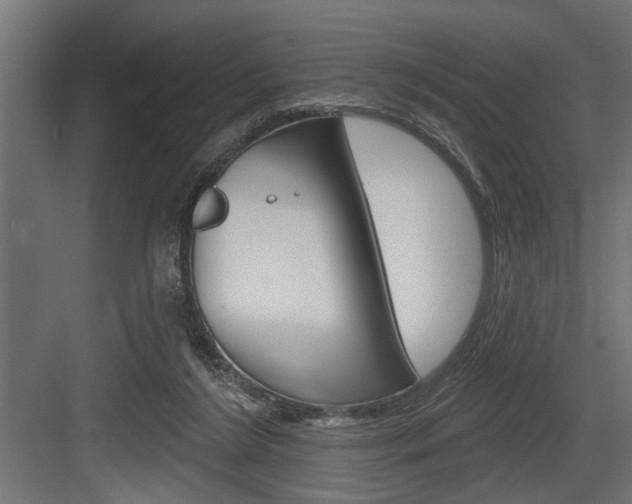 X0000083610212200702120732