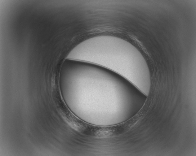 X0000083610213200702120732