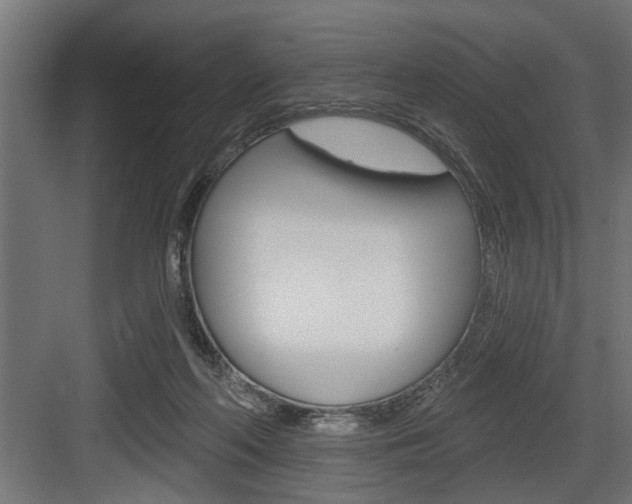 X0000083610214200702120732