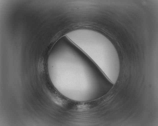 X0000083610216200702120732