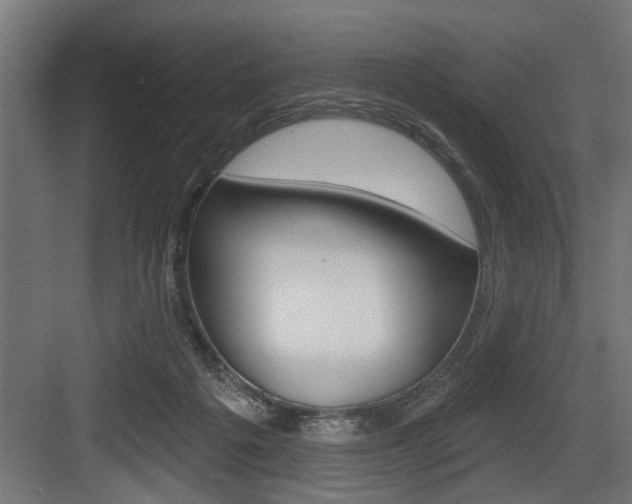 X0000083610217200702120732