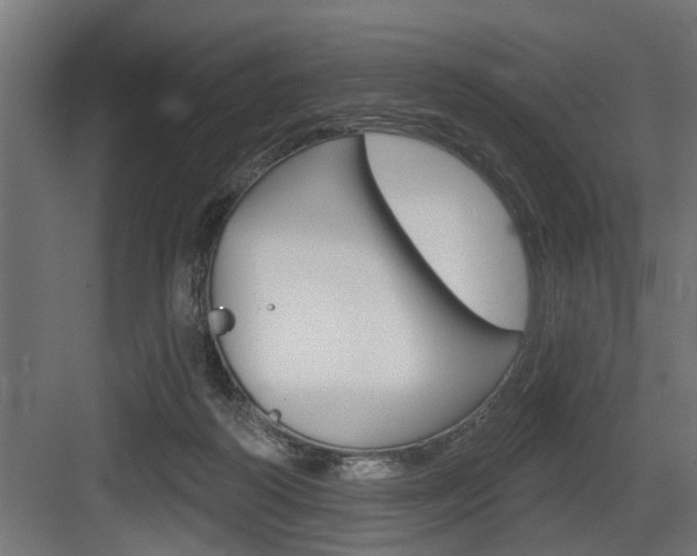 X0000083610218200702120732