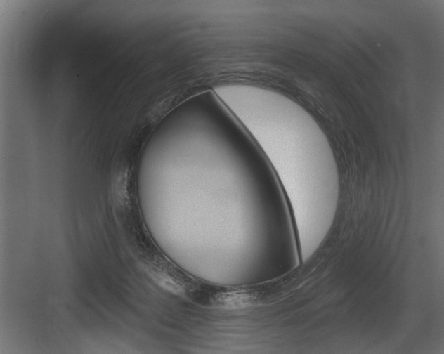 X0000083610219200702120732