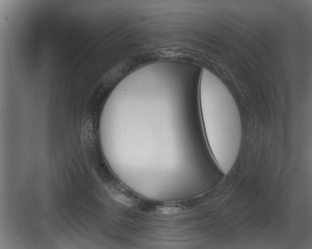 X0000083610220200702120732