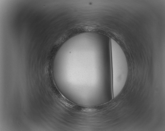 X0000083610221200702120732