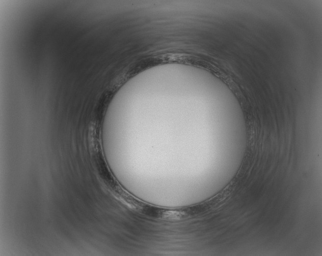 X0000083610222200702120732