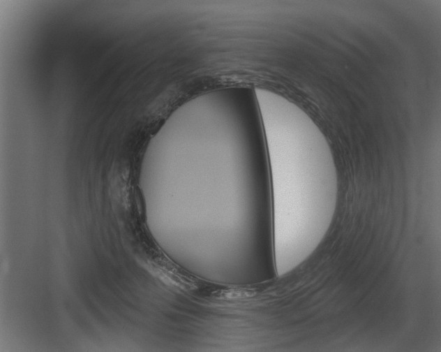 X0000083610223200702120732