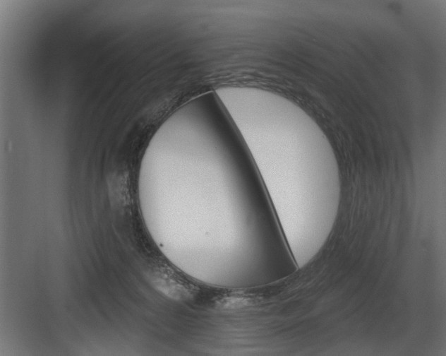 X0000083610224200702120732