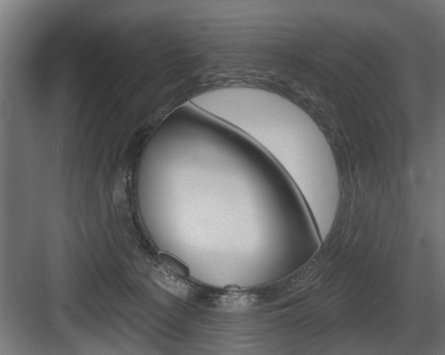 X0000083610225200702120732