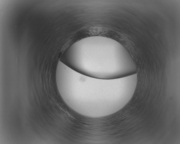 X0000083610226200702120732