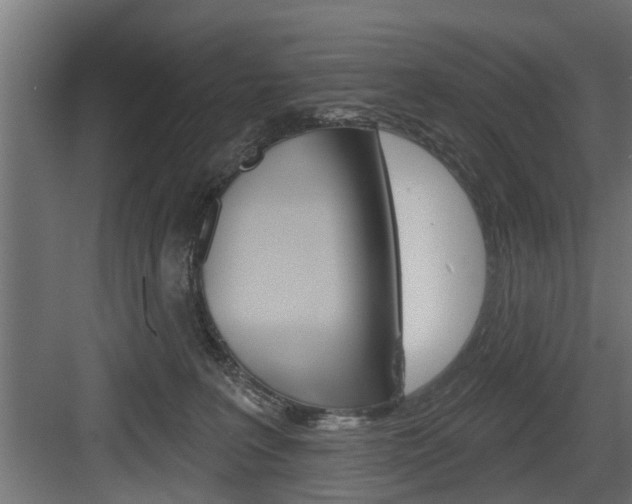 X0000083610227200702120732